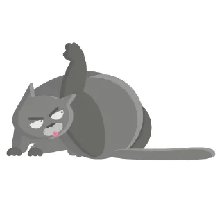 🐱