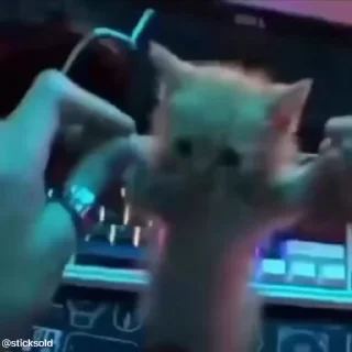 🕺