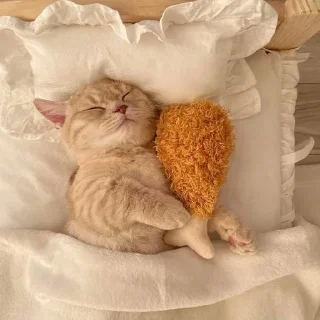 🐈
