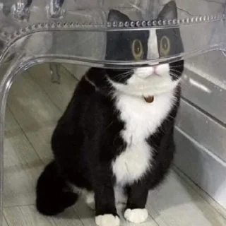 🤓