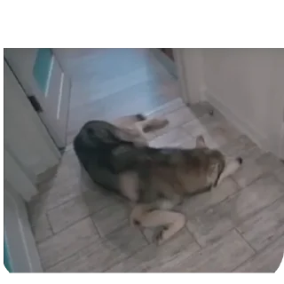 👍
