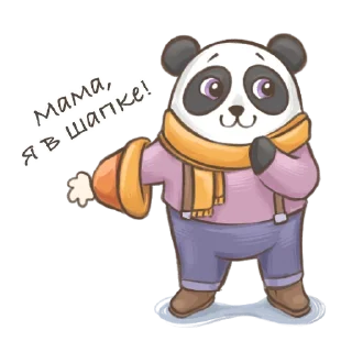🐼