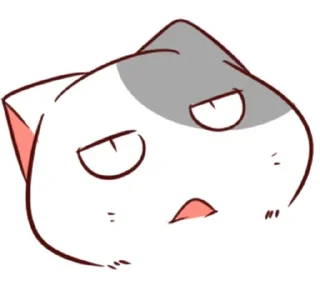 🐈
