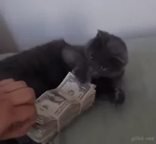 🤑