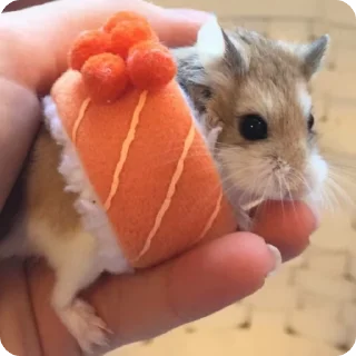 🍣