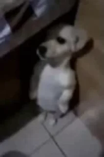 😅