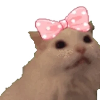 🎀
