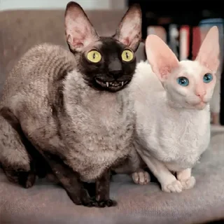 😁