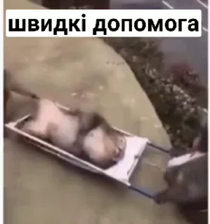 🚑