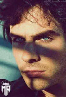 Damon Salvatore @stickersb2b