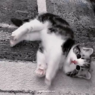 🍙