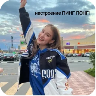 🏸