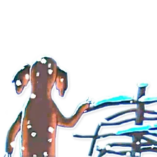 🐾