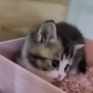 😦