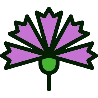 🌸