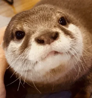 😊