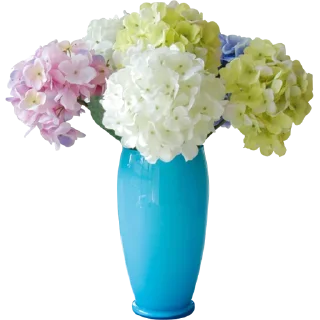 💐