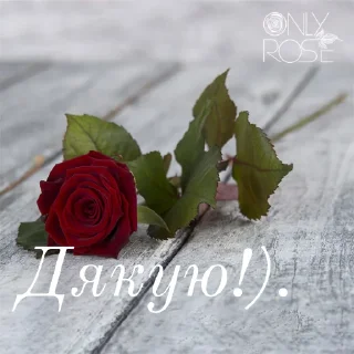 😍