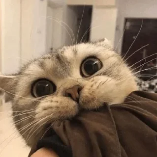 😬