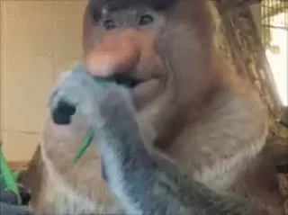 🥬