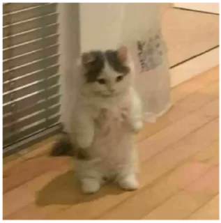 😐