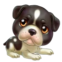🐶