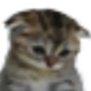 😭
