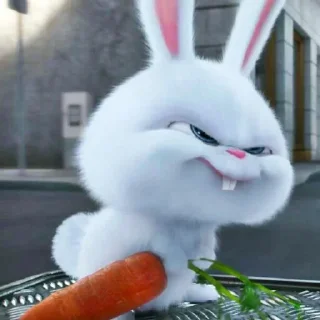 😤