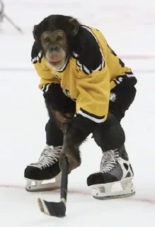 🐒