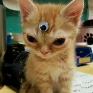 😠