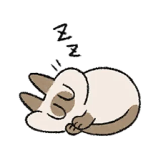 😺