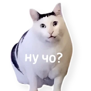 ❓