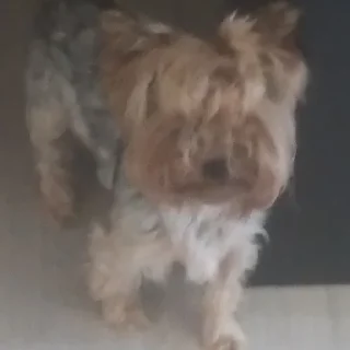 😶