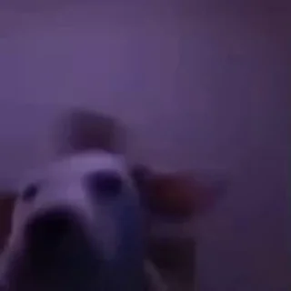 🥳