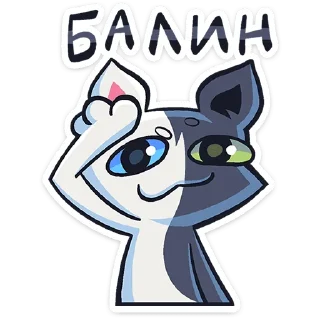 ⭐