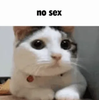 🔞