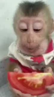 ☺️