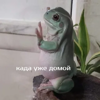 ☹️