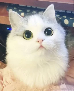 😍