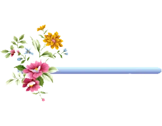 🌼