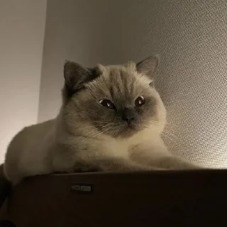 ☺️