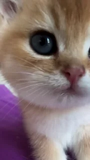😍