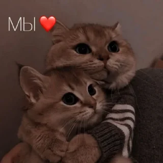 ❤️