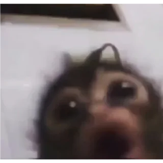😲