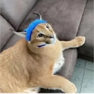 😐