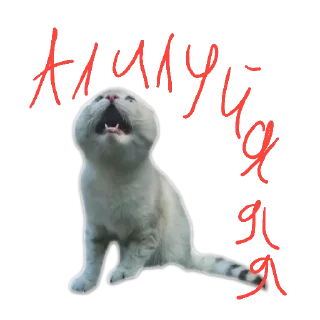 😆