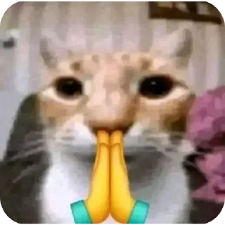 🥺
