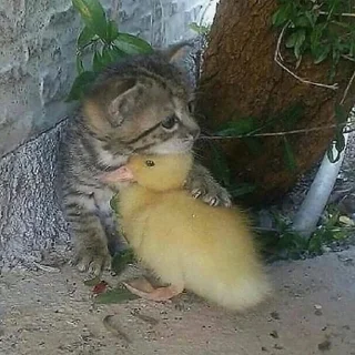 🤗