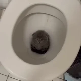 😫