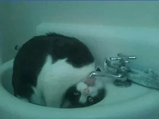 😣